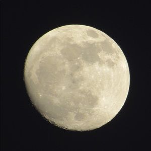 Meet your Posher, Meaghan